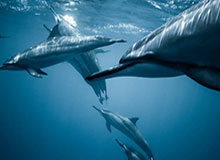 开云体育-中国官网登录入口:开启极致体育体验的新纪元